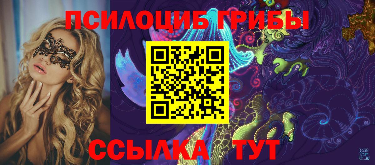 Алексеевка  Галлюциногенные грибы Psilocybine cubensis  Вход с VPN 